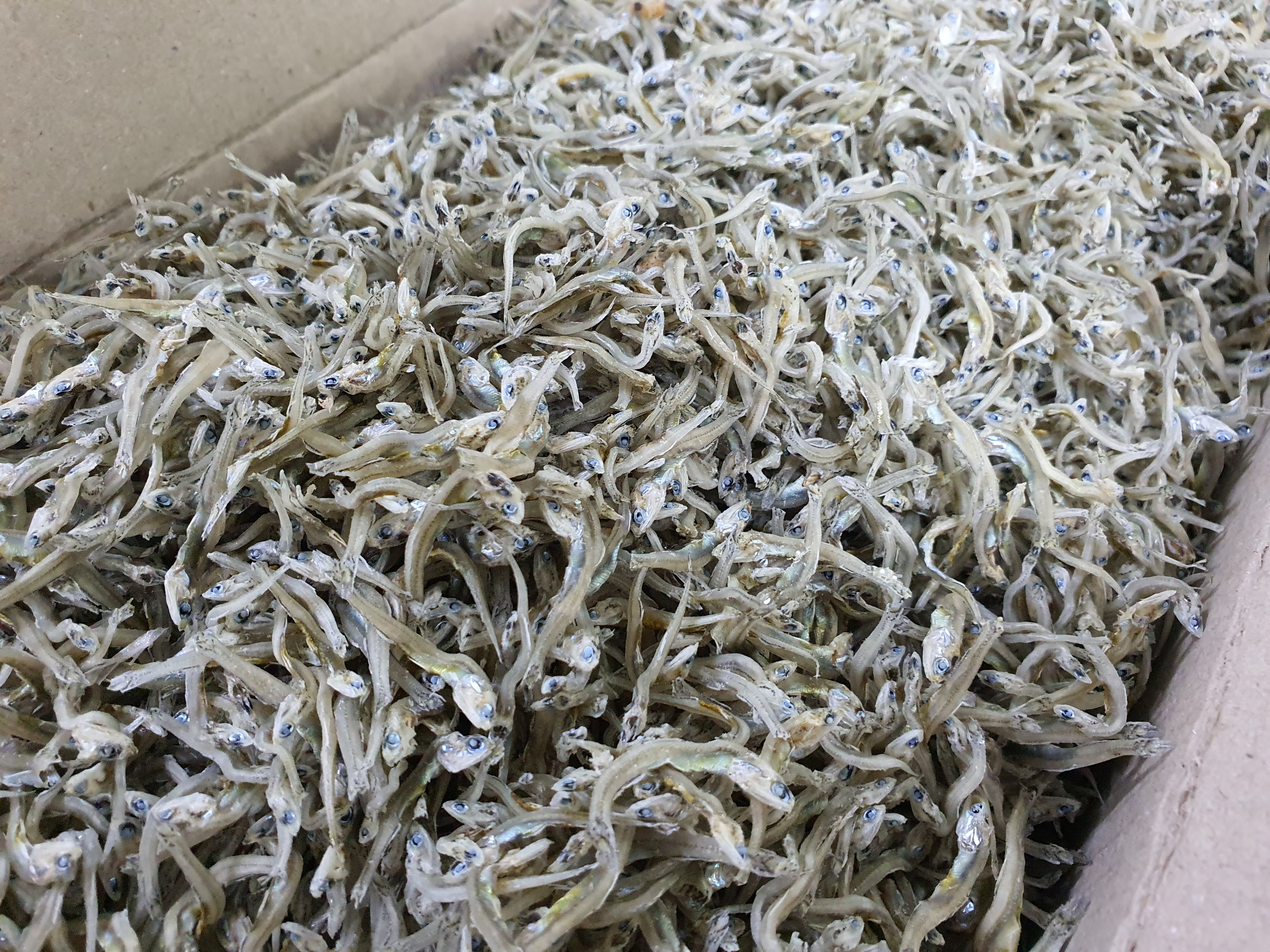 건어물 황태채 백진미 볶음멸치 대멸치