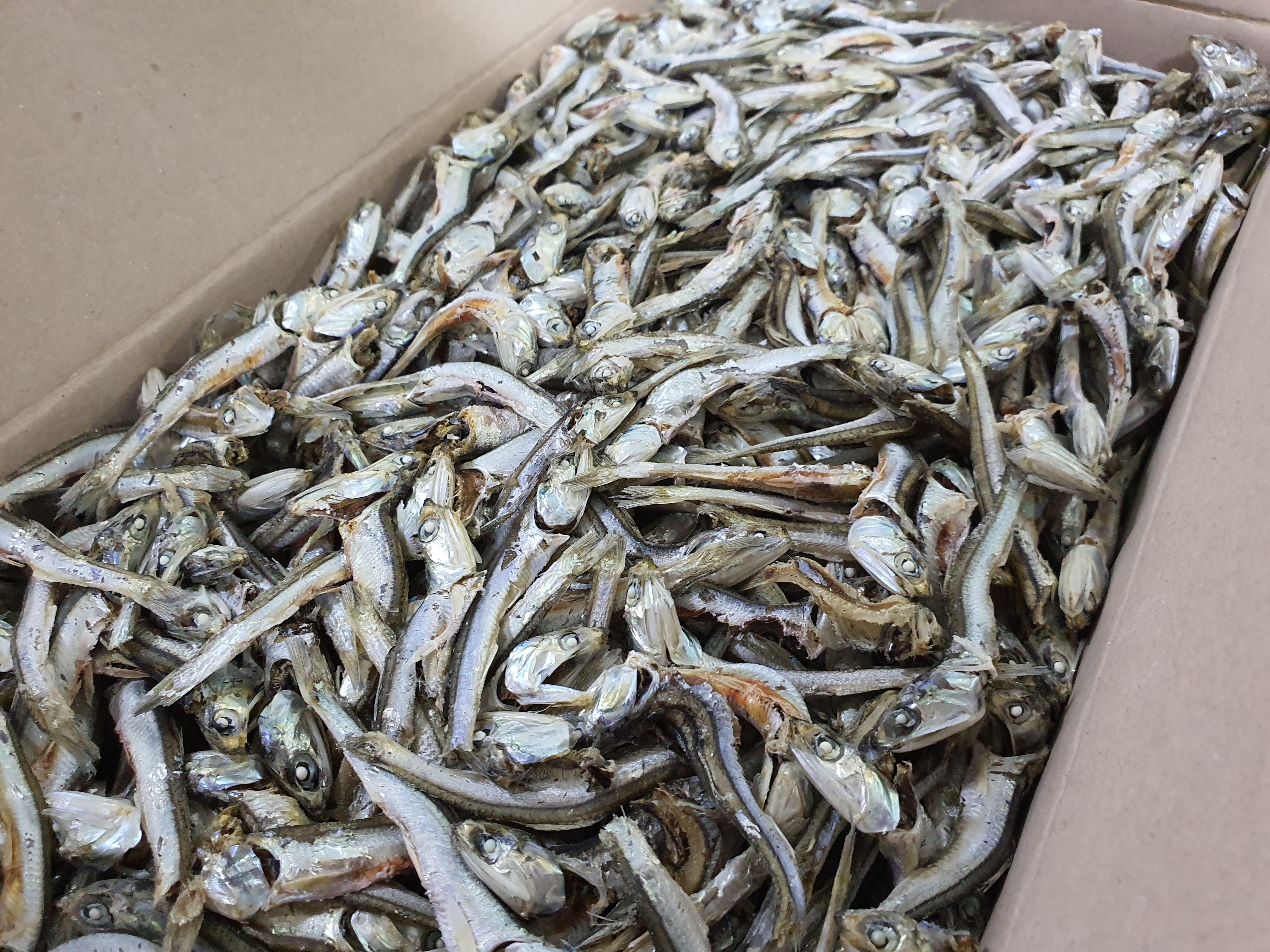 건어물 황태채 백진미 볶음멸치 대멸치