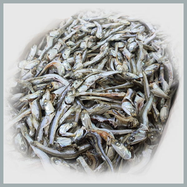 건어물 황태채 백진미 볶음멸치 대멸치